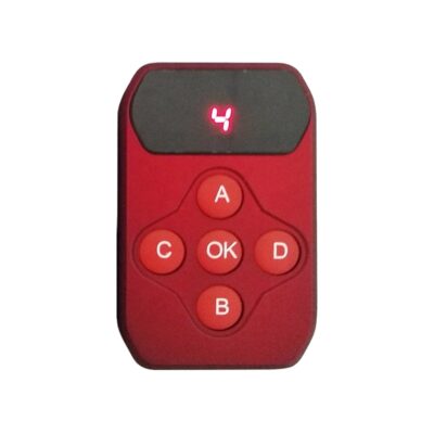 RS 2127 Key Fob Remote