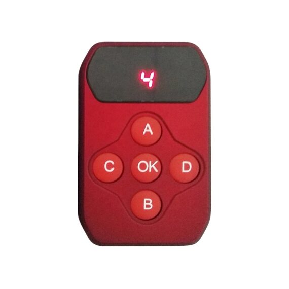 RS 2127 Key Fob Remote
