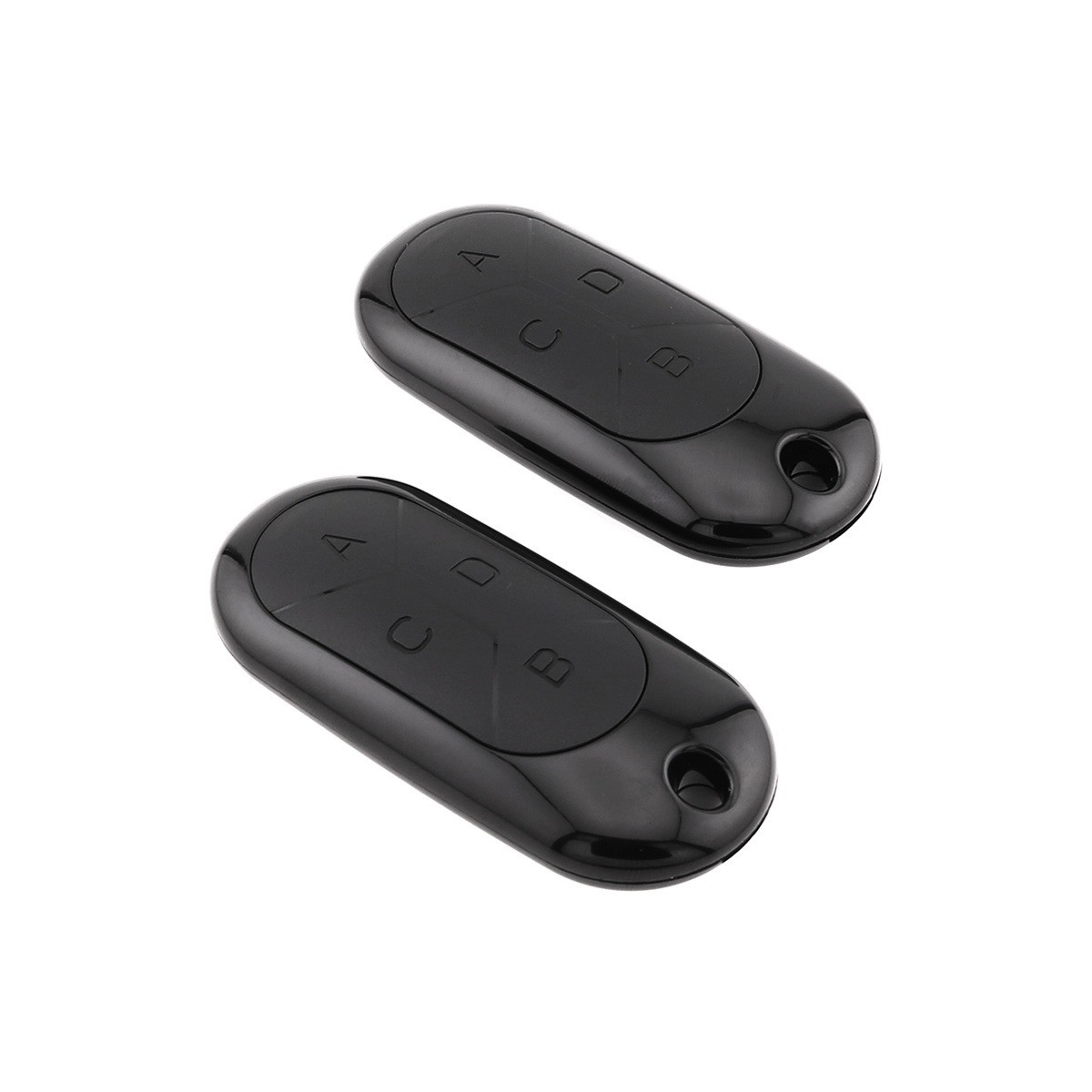 RS 087 Key Fob Remote