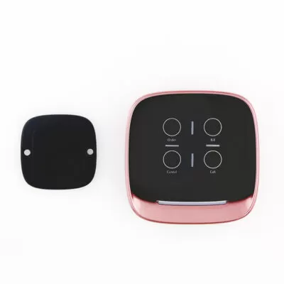 RS 095 Key Fob Remote